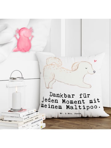 Mr. & Mrs. Panda kuschelkissen 40x40 Maltipoo Moment mit Spruch in Weiß