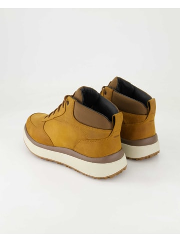 Geox Winterstiefel in Braun