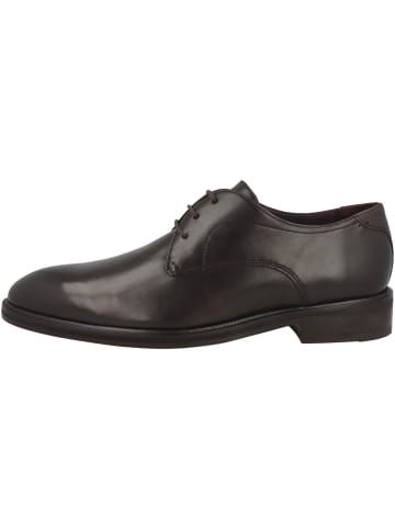 Baldessarini Halbschuhe Samuel Calf in dunkelbraun