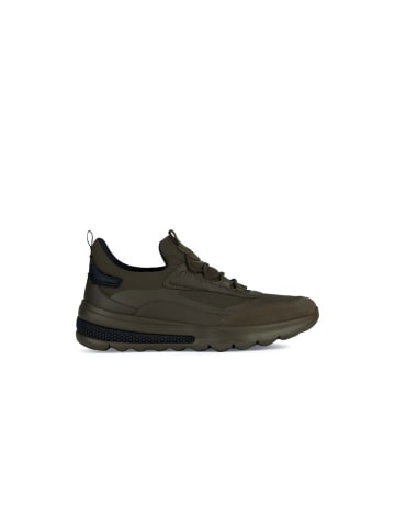 Geox Sneaker U
