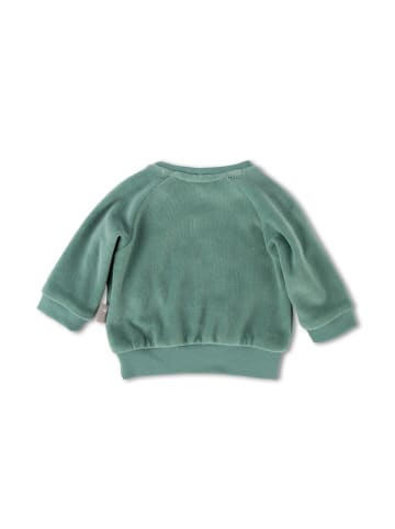 Sigikid Nicki Langarmshirt Classic Baby in grün