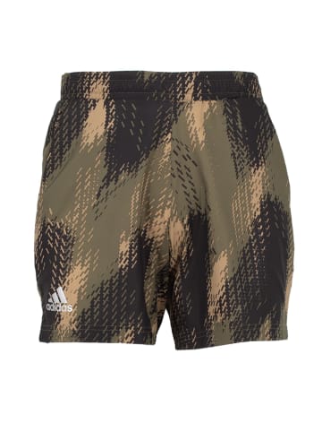 adidas Hose Tennis AOP Printed Shorts in Grün