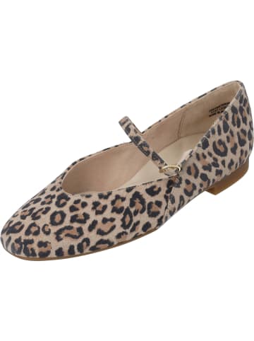 Paul Green Ballerinas in leopardino desert