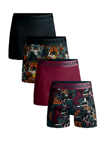 Muchachomalo 4er-Set: Boxershorts in Multicolor