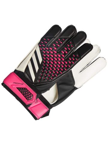 adidas Performance Torwarthandschuh Predator Training in schwarz / pink