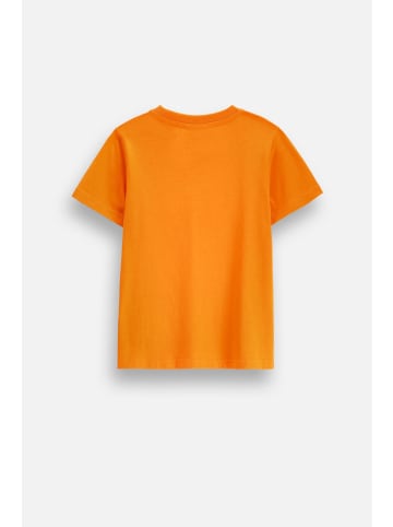 Coccodrillo Baumwoll-T-Shirt mit kurzen Ärmeln Halloween in orange
