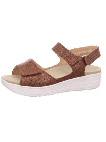 Solidus Pantolette Greta-Weite G in hazel