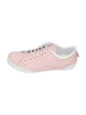 Andrea Conti Sneaker Low 0343636-1875 in rosa