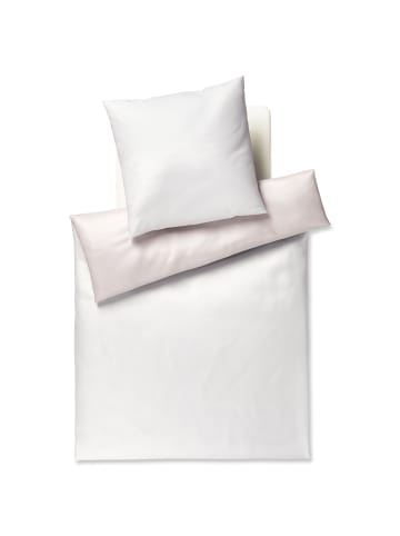 JOOP! JOOP! Bettwäsche Micro Pattern 4040 Creme - 17 in Creme - 17