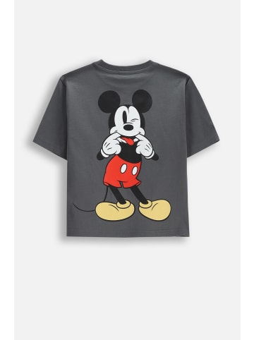 Coccodrillo Baumwoll-T-Shirt mit kurzen Ärmeln in schwarzgrau