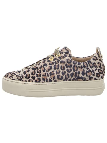 Paul Green Lowtop-Sneaker in leopard beige