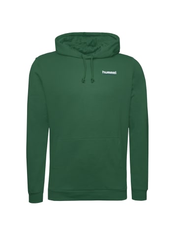 Hummel Kapuzenpullover Legacy Gabe in gruen