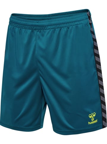 Hummel Short "Hmlauthentic Pl Shorts" in Blau