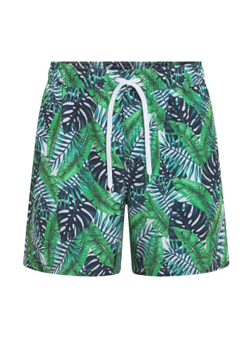 TOOCHE Bademode "Lugano" in Grün