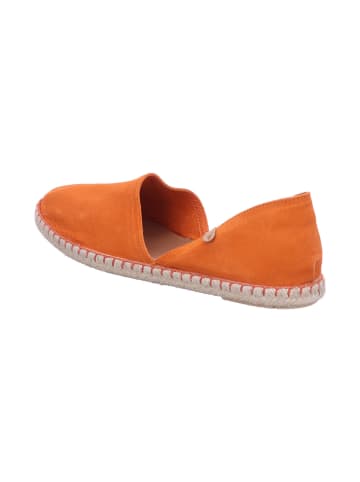 Verbenas Slipper in orange