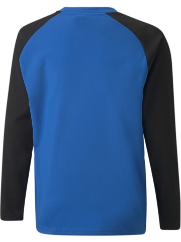 Puma Pullover "TeamLIGA Training Sweat Jr" in Blau
