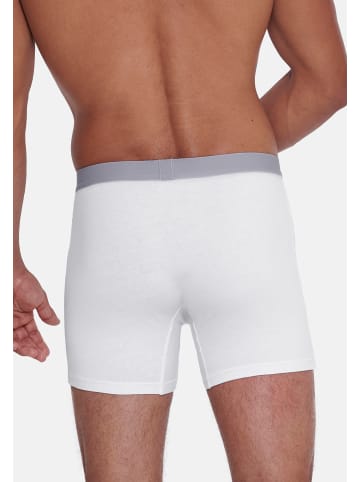 Sloggi Long Short / Pant GO ABC 2.0 in Weiß
