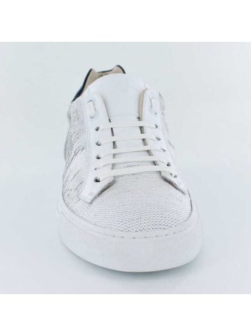 Corvari Schnürschuh in weiß