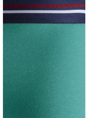 H.I.S Hipster in grün, lime, blau, rot, schwarz