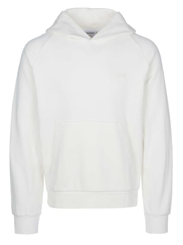 Calvin Klein Hoodie für Herren in beige