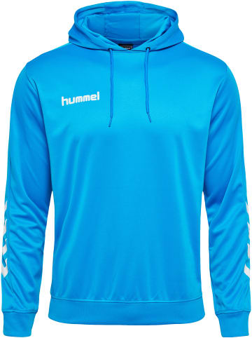 Hummel Hummel Kapuzenpullover Hmlpromo Fußball Herren in DIVA BLUE