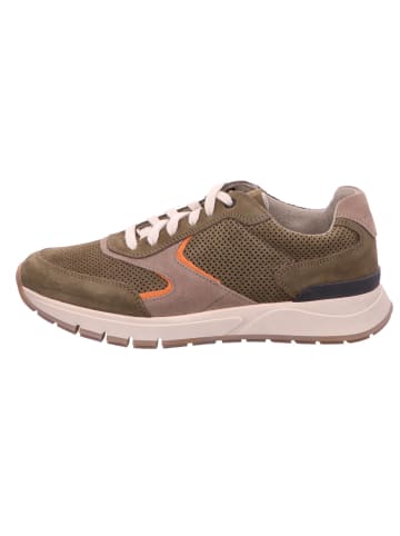 Pius Gabor Sportlicher Schnürschuh in grün
