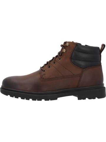 Geox Stiefel in DK COFFEE