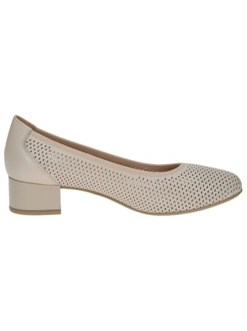 Caprice Pumps in CREAM NAPPA
