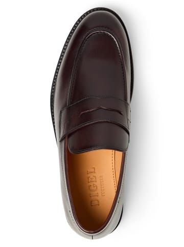 DIGEL Schuhe Sander in schoko - 0001