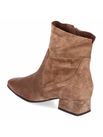 Paul Green Stiefeletten in braun