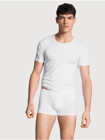 Calida T-Shirt in weiss