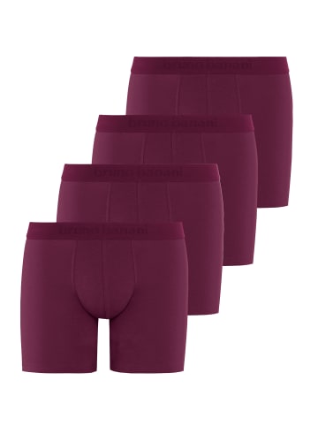 Bruno Banani Long Short / Pant Long Life 2.0 in Bordeaux