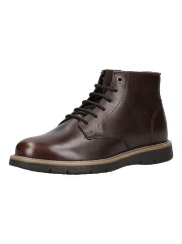 Geox Stiefelette Dunkelbraun