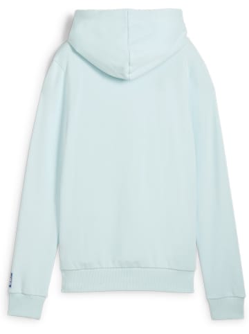 Puma Hoodie "Handball Hoodie Women" in Blau