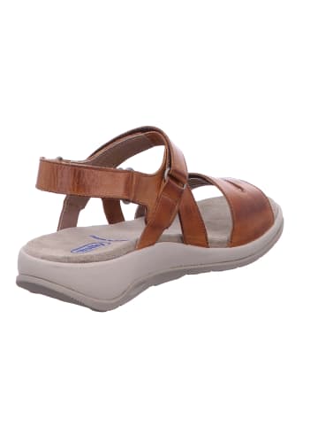 wolky Sandale in braun