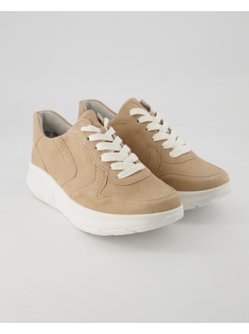 Semler Sneaker in Beige