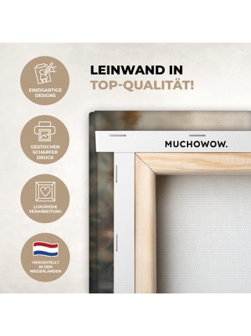 MuchoWow Leinwand bilder Löwe (BxH)