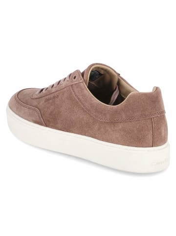 Calvin Klein Schnürhalbschuh in braun