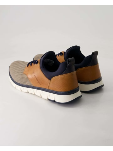 SALAMANDER Sneaker low in Braun