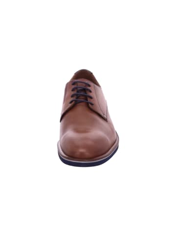 LLOYD Herrenschnürschuhe halb Mehrweite  in  Braun