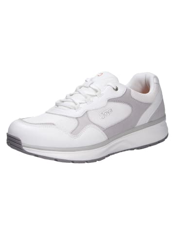 Joya Schnürschuh TONY III WHITE in weiß