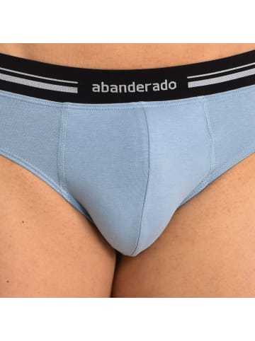Abanderado Slip in Blue
