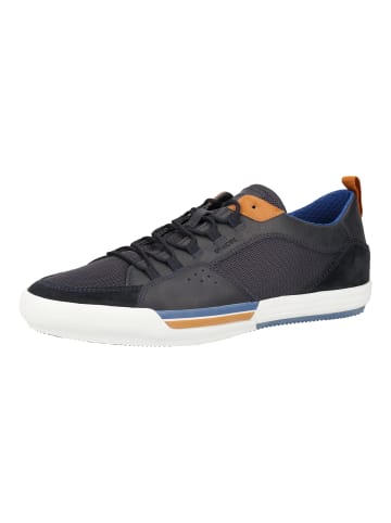 Geox Sneaker in Blau