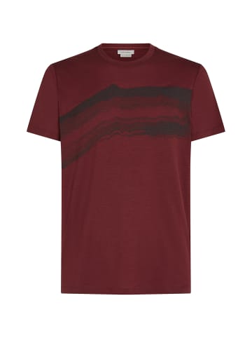 icebreaker T-Shirt Men M 150 Tech Lite SS Tee Getaway in wie abgebildet0021