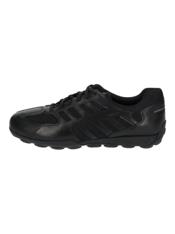 Geox Sneaker in Schwarz/Schwarz