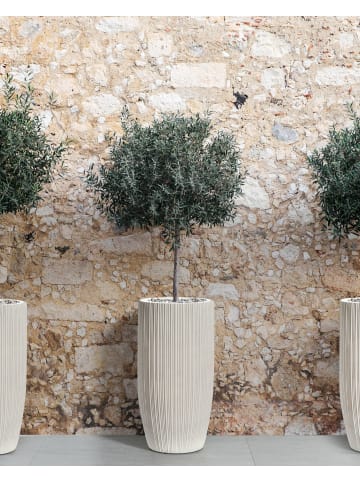 Beliani Outdoor Blumentopf ZELKOVA in Beige - (W) 35 x (H) 70 x (L) 35 cm