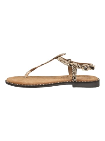 Lazamani Zehensteg AYLA SNAKE Beige