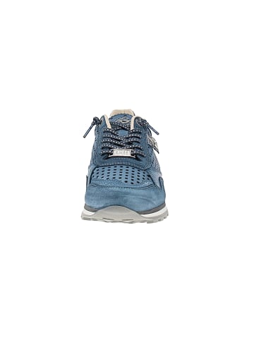 Cetti Sneaker low C-848 SRA V25-26 in Blau