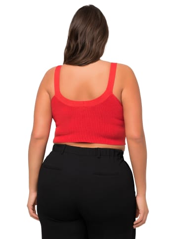 Ulla Popken Pullover in paprika