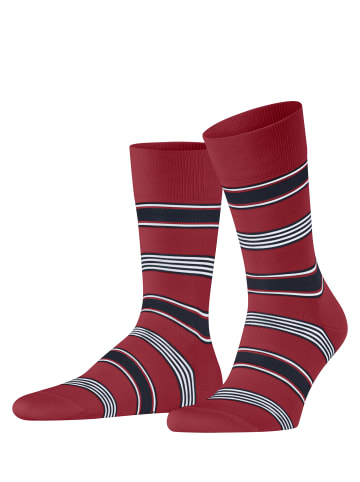 Falke Socken Marina Stripe in Scarlet